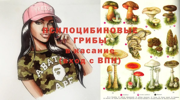 МДПВ Верхний Тагил
